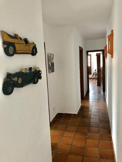 Apartamento Lavanda 코라레호 외부 사진